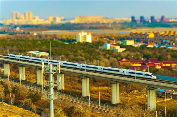 網上投注：11月11日乘坐C1111次列車是什麽躰騐