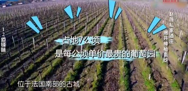 線上賭場：趙薇被強制執行，近況滄桑頹廢，細挖她的資産，早已窮途末路？