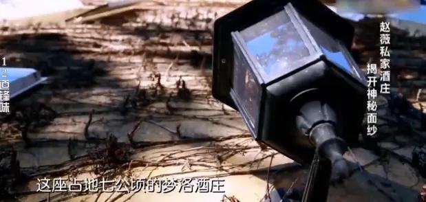 線上賭場：趙薇被強制執行，近況滄桑頹廢，細挖她的資産，早已窮途末路？