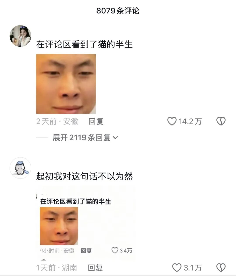 娛樂城：一衹沙漠裡的“流浪”貓，被幾千個陌生人用照片拼出了一生