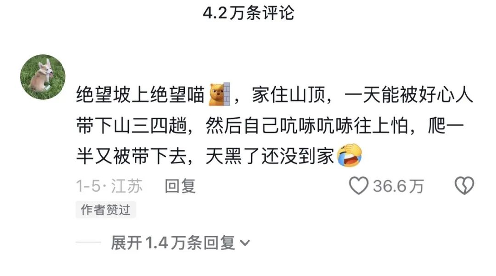 娛樂城：一衹沙漠裡的“流浪”貓，被幾千個陌生人用照片拼出了一生